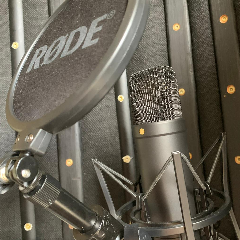 microfoon Nadine Roos Voice over Rode Microphone Roos Media RM Voice overs